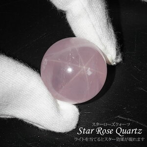 X^[[YNH[c ۋ 22`24mm 1 XtBA VR p[Xg[ u CeA g [YNH[c