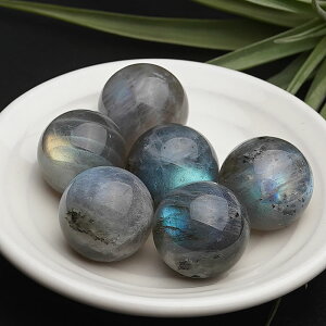 uhCg ۋ 16`21mm 1 XtBA VR p[Xg[ u CeA