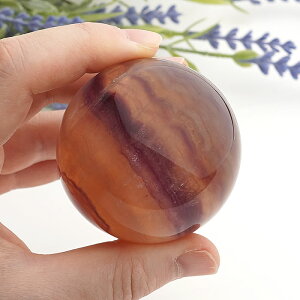 y_zLfB[J[ t[Cg ۋ XtBA VR p[Xg[ u CeA