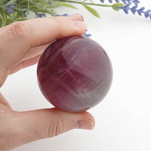 y_zLfB[J[ t[Cg ۋ XtBA VR p[Xg[ u CeA