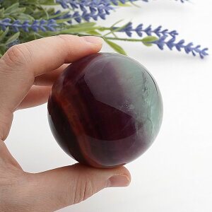 y_zLfB[J[ t[Cg ۋ XtBA VR p[Xg[ u CeA