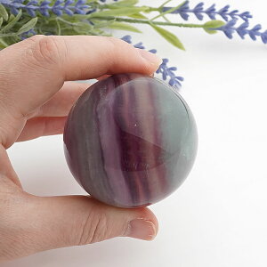 y_zLfB[J[ t[Cg ۋ XtBA VR p[Xg[ u CeA