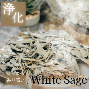 zCgZ[W CeA 򉻗p  NX^[^Cv JtHjAY  X}bWO@36G i K ґz _ Z[W z[[n[u NY q[O   e