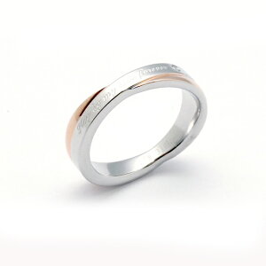 yPi/yAO/T[WJXeXzTvCYɂ!TvCYf[gœʊVvlbNX/␅ɋɗDT[WJXeXfގgpLO