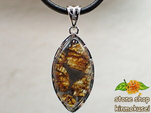 yy_ggbvz pTCgiΓS覐΁j ^Cv1 3.6g yӕʍς݁z y_z