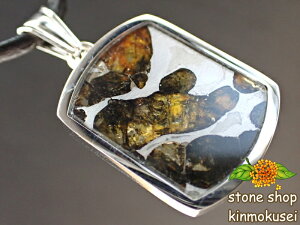 yy_ggbvz pTCgiΓS覐΁j ^Cv3 4.3g yӕʍς݁z y_z