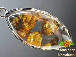 yy_ggbvz pTCgiΓS覐΁j ^Cv1 3.9g yӕʍς݁z y_z