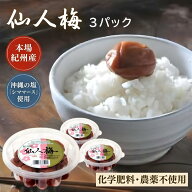 マルシマ 仙人梅 200g×3個セット 梅干し 無添加 紀州産 無農薬 無化学肥料 塩分20% すっぱい しそ漬け …