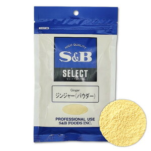yr[500~OFFN[|zzIz S&B WW[ pE_[ 100g I 傤 XpCX GXr[ Xr[ SB Ɩp