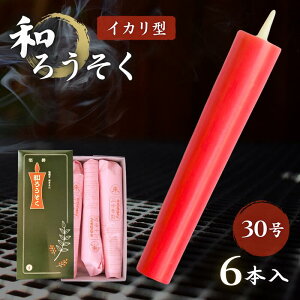 a낤 CJ^ 30 6{  V낤X [ @p Ɩp { XC [\N 񉶍u c@v WR N@v ^ A  {]