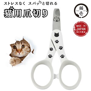 L XgXȂXpbƐ؂Lpܐ؂ {  L ܐ؂ ߂ M` jbp[ Y 򕌌֎s ؂ꖡQ ybgpi  O[~O