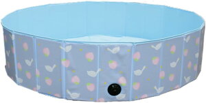 q ܂肽 v[ u[ Csv qp ǂ ܂ 킢 xr[ qǂ ybg  qv[ (wr053)