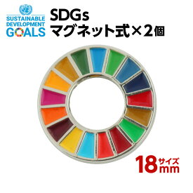 #007 SDGS ピンバッジ 2個入り(18mmサイズ・マグネットタイプ)【追跡可能メール便・送料無料】【宅配便ご指定の場合は差額420円加算します】