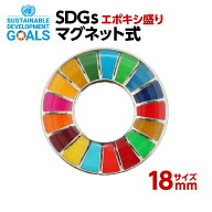 #008 SDGS ピンバッジ 1個入り(18mmサイズ・マグネットタイプ)(エポ盛)【追跡可能メール便・送料無料】【…