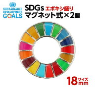 #008 SDGS ピンバッジ 2個入り(18mmサイズ・マグネットタイプ)(エポ盛)【追跡可能メール便・送料無料】【…