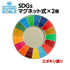 #004 SDGS ピンバッジ 2個入り(25mmサイズ・マグネットタイプ)(エポ盛)【追跡可能メール便・送料無料】【宅配便ご指定の場合は差額420円加算します】