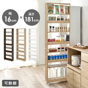 Ԏ[S Lb`ԃS LX^[ t  16×s55×181cm nC^Cv [ S ؐ X XgbJ[ Ԏ[S ①  [I Lb`ԉƋ Lb
