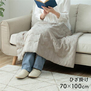 Ђ| O[ 70×100cm Ђ G| G