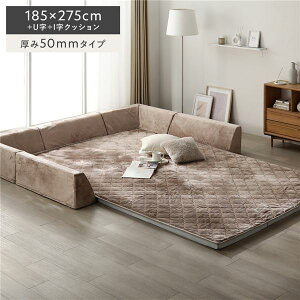 �Ɍ� ���O �w�N�b�V���� �Z�b�g �i��185×275cm�{U���{I���N�b�V���� ����50mm�^�C�v �t�����l�����n ���J�u���E���j �􂦂� �J�o�[ �w������t�� ���O�}�b�g ���[�\�t�@ �t���A�\�t�@ ������ ��
