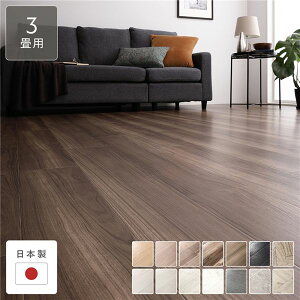 NbVtA ]ˊ3p 176cm×261cm X`[`[N { h  R hJr h ؖڕ 󒍐Y NbV}bg tA}bg