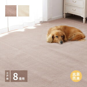 �J�[�y�b�g �R�� �]�ˊ�8�� 8�� ��352×352cm �h�L �J�b�g�p�C�� �y�b�g �܈���������h�~ ���{�� �O�~ ���イ���� ���n�� �ӂ��� �q������ �ۈ牀 �L�b�Y�X�y�[�X ���O �}�b�g �z�b�g�J�[�y�b