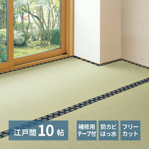 Ő؂ ~  iCe[vtj ]ˊ 10 10 352×440cm t[Jbg~ ~ a  SU J[ybg 䑐 COT  C t[O DIY  