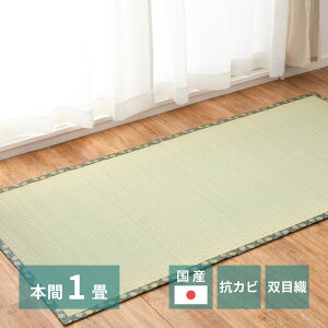 Y~ { 1 1 95.5×191cm oڐD a a RJr L  J[ybg O ̏ɕ~ a~ 䑐   ւ