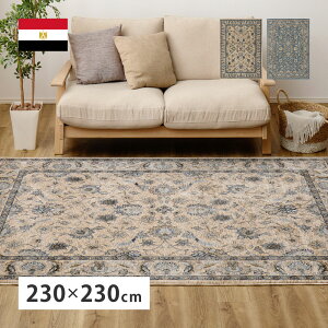 ���O �J�[�y�b�g �E�B���g�����O ��230×230cm �i��3��j �傫�� ���� ������ �V���v�� �G�W�v�g���E�B���g���D���O ���O�}�b�g �~�� �O�~ ���r���O �z�b�g�J�[�y�b�g ���g�[�Ή� ���イ����