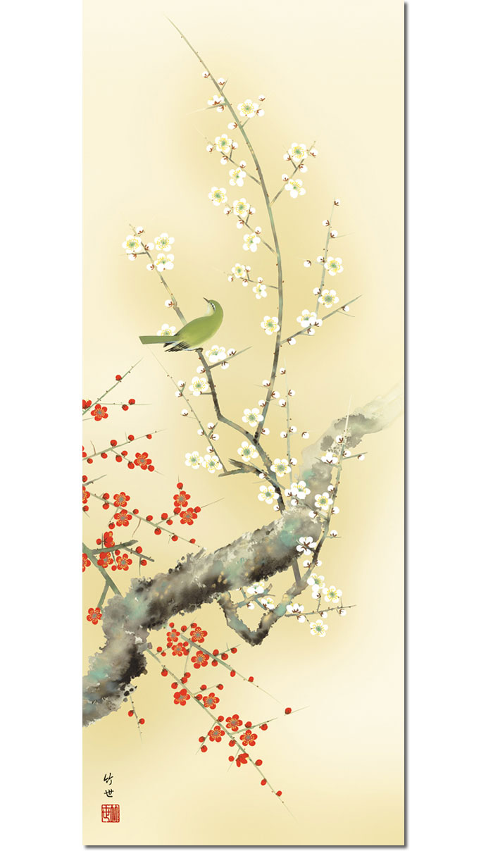 楽天市場】掛け軸 掛軸 紅白梅に鶯 こうはくばいにうぐいす 幅44.5×高 