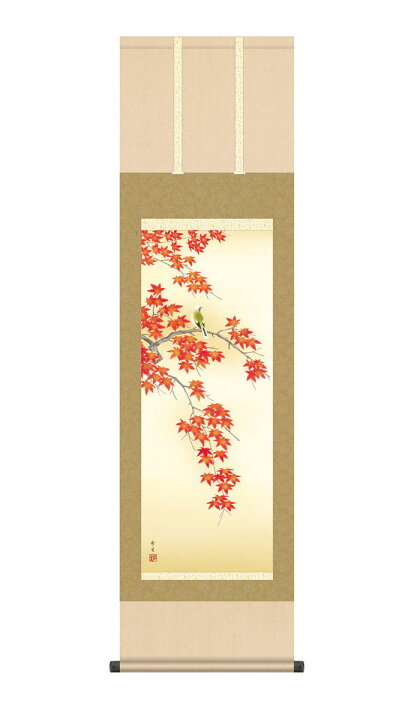 楽天市場】掛け軸 掛軸 紅葉に小鳥 もみじにことり 幅44.5×高さ約164cm 