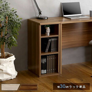 Be[W Vv fXNTChbN30cm 30 s37 70 TChbN J[{bNX 3i I fXN {I ؐ bN [ I rO ؖڒ [NfXN l desk e