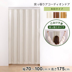 AR[fBIhA ς ؖڒ 100×175cm AR[fBIJ[e ˂  plhA ȒPtH[ Ԏd؂ ς莮 p[e[V ډBhA L Lb` ʏ