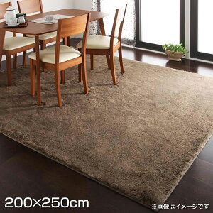 �t�F�C�N�t�@�[���O 200×250cm ���O ���O�}�b�g ���O�J�[�y�b�g �J�[�y�b�g �O�~ �~�� ���イ���� ���{�� ���Y �z�b�g�J�[�y�b�g ���g�[�Ή� �ӂ��ӂ� �ӂ�ӂ� �������� ���G�� �I�[���V�[�Y