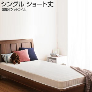 qp}bgX Y|PbgRC}bgX VO V[g   }bgX R ^ y ʋC WjA |PbgRC q qǂ qp qǂp