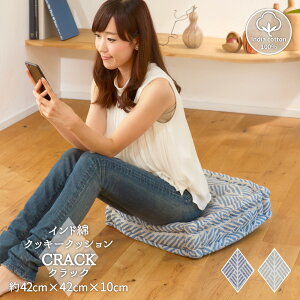 NbV ` lp zc 42×42×10cm ChȃNbL[NbV tANbV V[gNbV `FANbV t {[  ԂƂ p^  lCr[ 