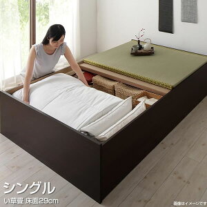 qlg xbh  VO 29cm オ [xbh xbht[̂   { [xbh [^Cv zc[ [t wbhXxbh e  