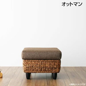 Ibg} EH[^[qVX 50×s50×38cm u u u Xc[ AWA\t@ AWAƋ ][g ][goƋ o AWAeCXg GXj