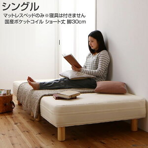 }bgXxbh VO V[g r30cm }bgXxbh Y|Pbg }bgXxbg   ȃXy[X   y RpNg [  q 