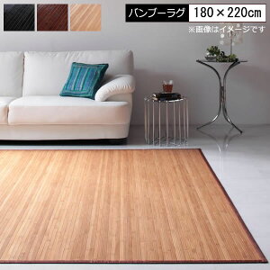 ou[ O |O  180×220cm ou[J[ybg ͗l| Ђ ⊴  O J[ybg rO a Q ėpO O}bg ~ ~ Z^[O rOO 