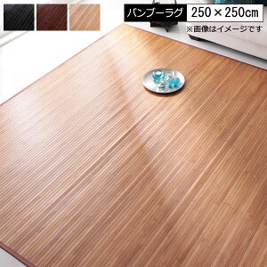 ou[ O |O  250×250cm ou[J[ybg ͗l| Ђ ⊴  O J[ybg rO a Q ėpO O}bg ~ ~ Z^[O rOO 