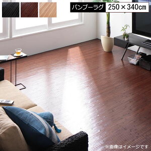 ou[ O |O  250×340cm ou[J[ybg ͗l| Ђ ⊴  O J[ybg rO a Q ėpO O}bg ~ ~ Z^[O rOO 