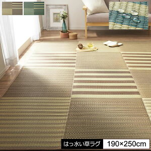 O J[ybg 190×250cm ͂ }bg U}bg ~ J[ybg O J[ybg ~ RpNg E^ R hL  C  COT 