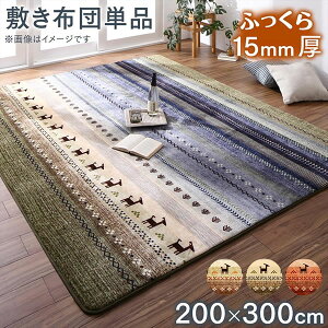 p~zc 200×300cm 15mm ~zc ~zc ~zc R^c~zc ~zc R^c~zc ~ӂƂ R^c~ӂƂ g[Ή O O}bg h~ h