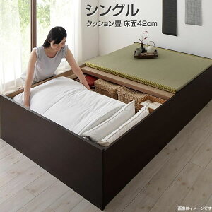 qlg { xbh ݃xbh [ wbhXxbh オ NbV VO 42cm eʎ[ nC^Cv nCxbh zc[ qpxbh ȈՃxbh xbh[ 