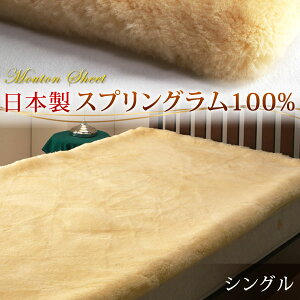 y{N[|5%z { [gV[c VO R h_j L Z [g V[c 100×200 ~pbh ~pbh r E[  t@[ [gt[X {v  E[ 