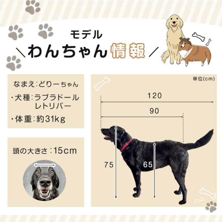 楽天市場】大型犬対応 バリアフリー ペットサークル 高さ100cm 超ハイ 