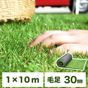 苗 1m 10m 人工芝の通販 価格比較 価格 Com