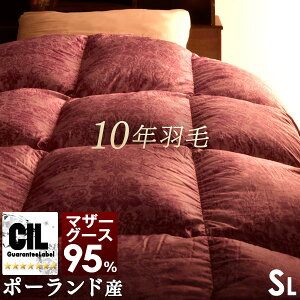 y~N[|5%z v`ix 10N Hѕzc _E95% 呝1.3L |[h zCg }U[ O[X _E 484dpȏ 200mmȏ  360TTe 10Nۏ { VO 