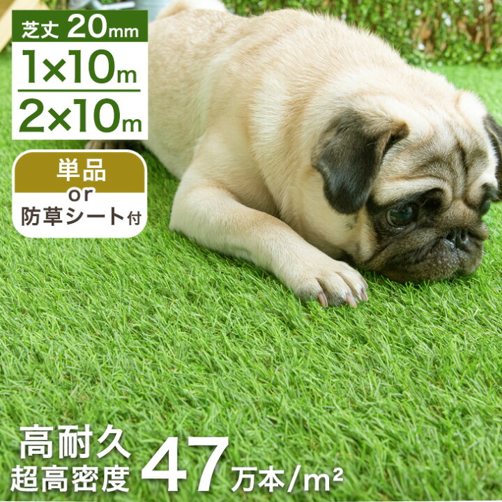楽天市場】【20時~クーポン5%引】 お掃除楽々＆ドッグランに! 芝丈20mm 