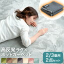 ラグ+ホットカーペット2点セット 2畳 / 3畳用 極厚2.5cm 高反発 ラグ 185×185cm 200×250cm ホットカーペット 2畳用 3畳 セット 軽量 滑り止め付 ラグマット 床暖房カーペット 電気マット 足元暖房 カーペット 正方形 オールシーズン 絨毯